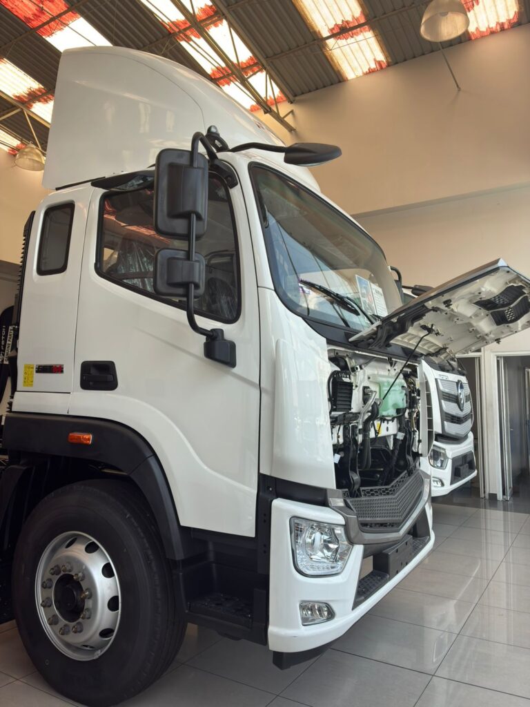 FOTON AUMARK S12 12 TONELADAS
