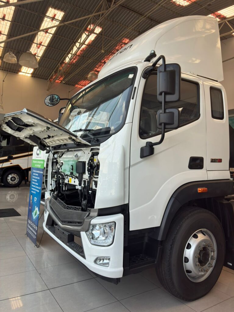 FOTON AUMARK S12 12 TONELADAS