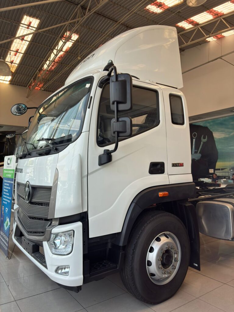 FOTON AUMARK S12 12 TONELADAS